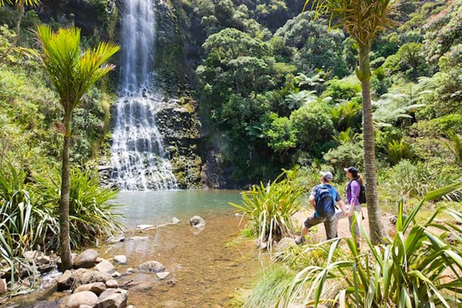 Auckland City & West Coast Luxury Tour - The pace, pickup, and practical planning