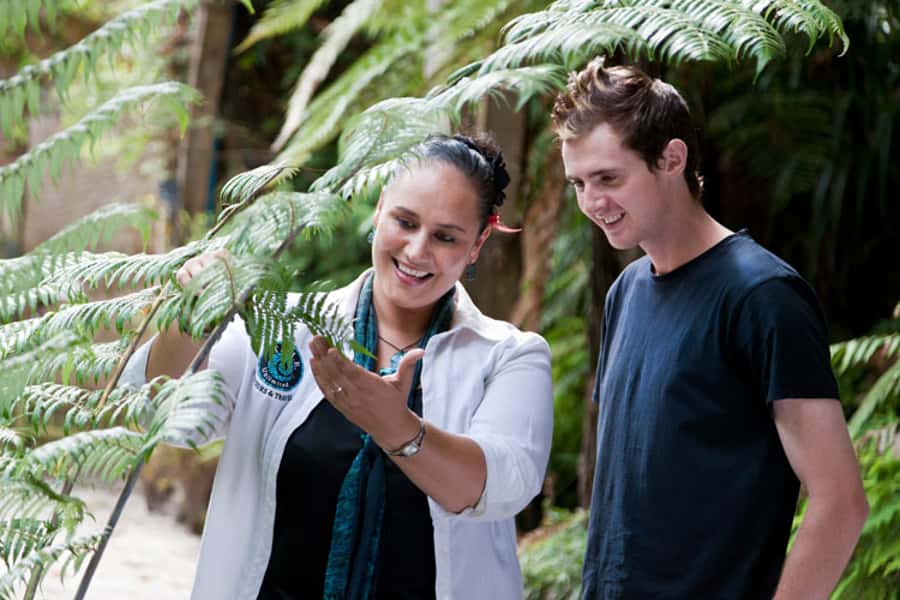 Auckland City & West Coast Luxury Tour - The guide can make or break the day