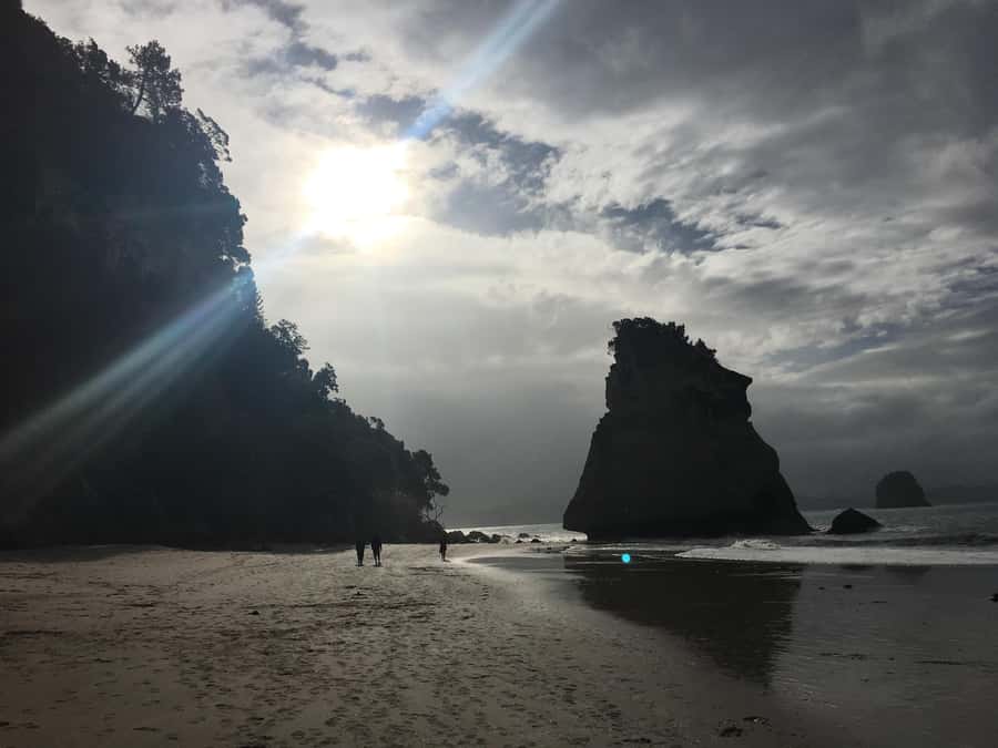 Auckland: Coromandel Day Tour including Hot Water Beach - Why the Coromandel combination works