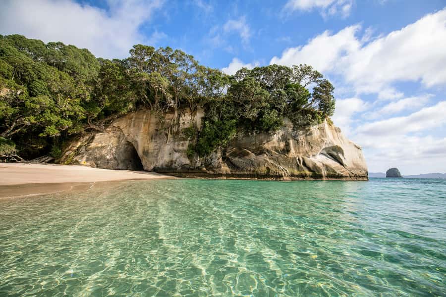 Auckland: Coromandel Driving Creek & Cathedral Cove Day Tour - Driving Creek Railway and Barry Brickell’s forest creation