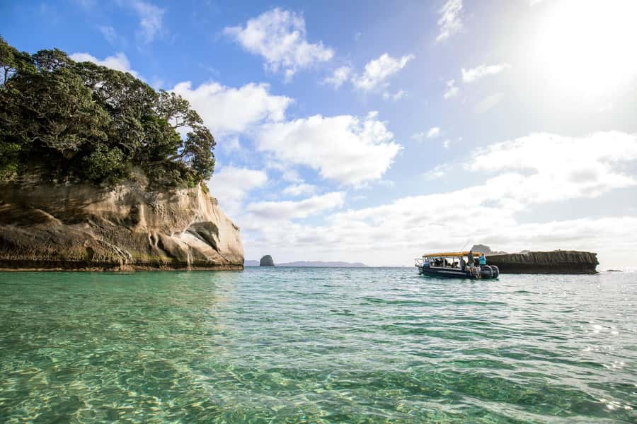 Auckland: Coromandel Driving Creek & Cathedral Cove Day Tour - Whitianga: a practical pause before the coast