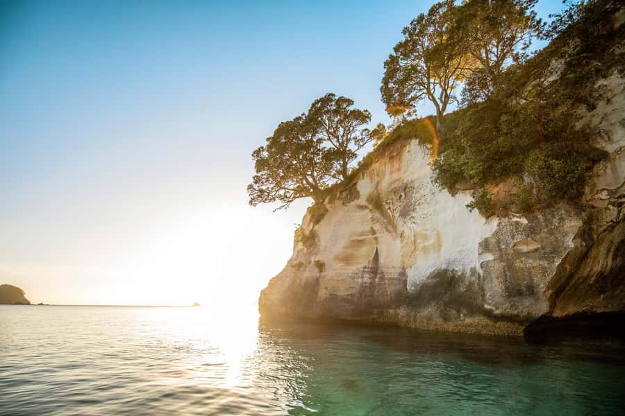 Auckland: Coromandel Driving Creek & Cathedral Cove Day Tour - What the $298 price really covers