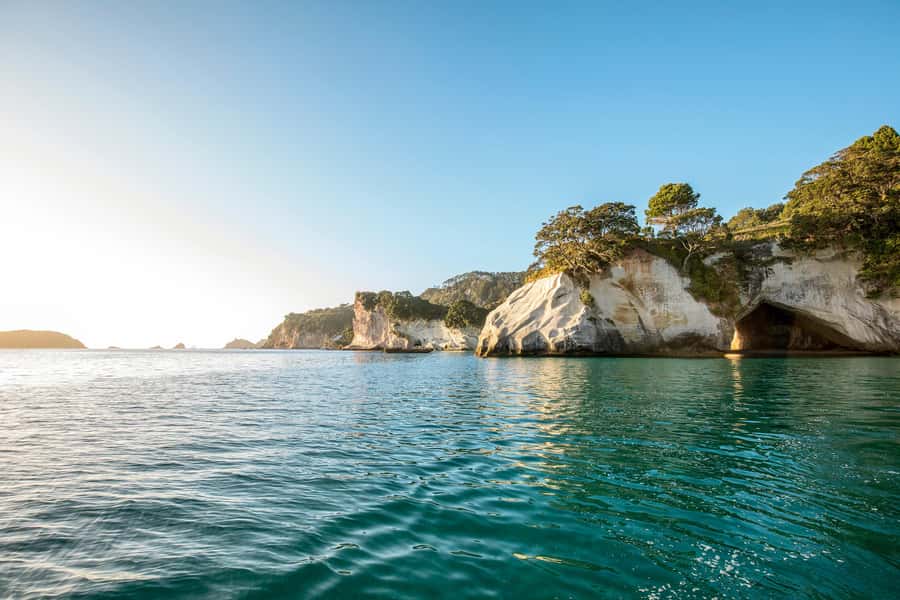 Auckland: Coromandel Driving Creek & Cathedral Cove Day Tour - Practical advice for making the day easier