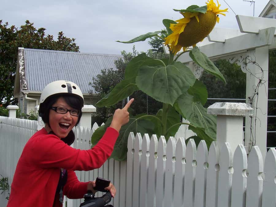 Auckland: Devonport Village Segway Tour - Following Devonports waterfront