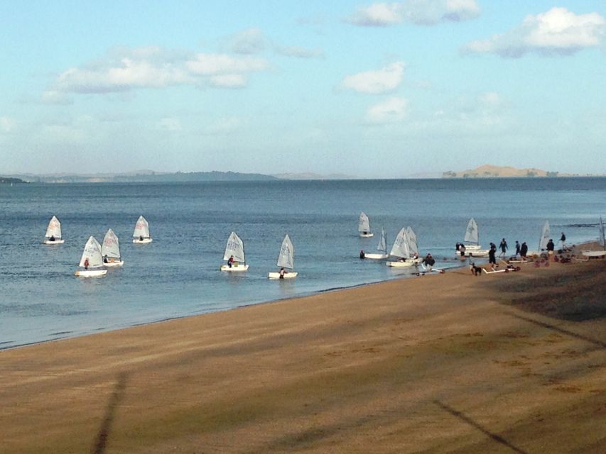 Auckland: Devonport Waterfront Segway - Weather, equipment, and comfort