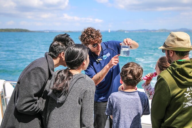 Auckland Dolphin and Whale Watching Eco-Safari Cruise - Motuihe, Motutapu, and the island chain