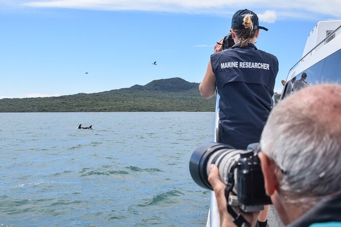 Auckland Dolphin and Whale Watching Eco-Safari Cruise - Comfort, crowding, and rough water