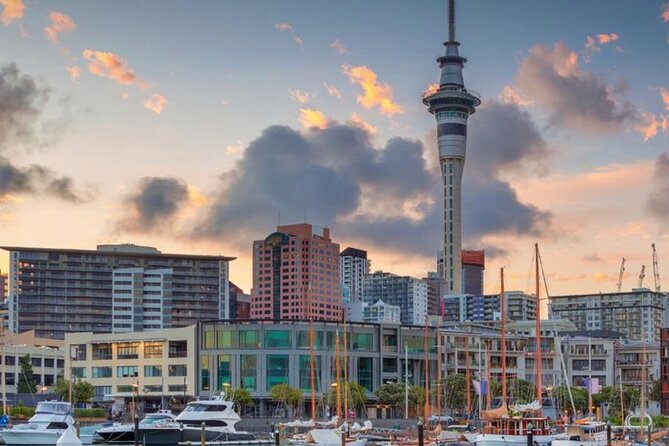 Auckland Downtown Hotel Transfers to/from Cruise Ship in Minivan - The drivers and the communication that matter