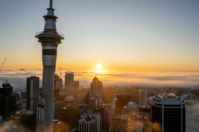 Auckland Full Day Attractions & Museums Tour - A useful first look at Auckland in one day