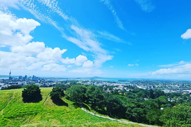 Auckland Full Day Attractions & Museums Tour - Wintergardens in Auckland Domain