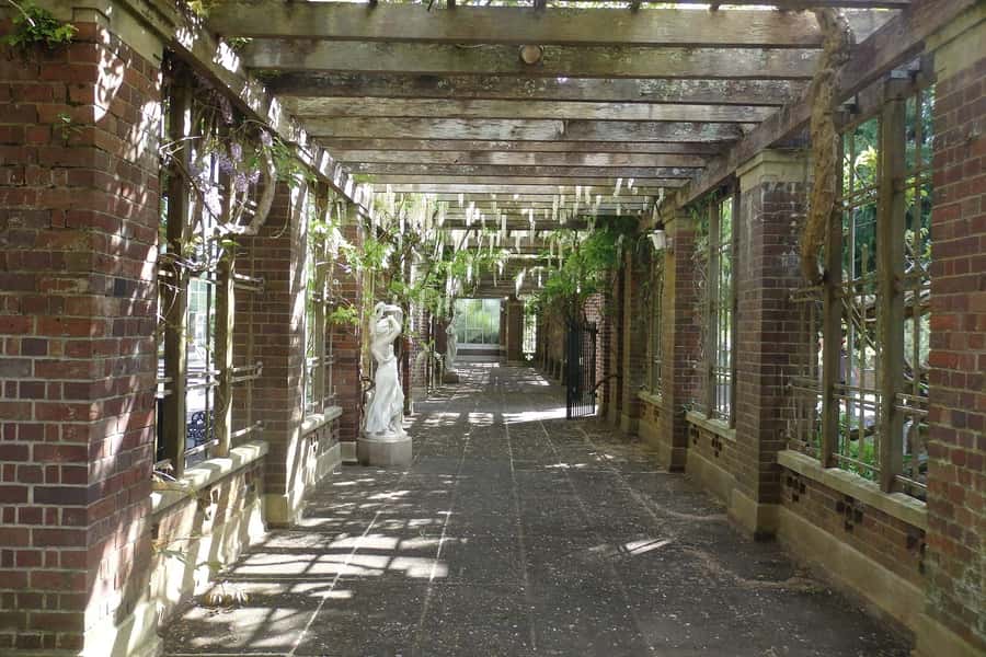Auckland: Full-Day City Highlights Tour - Auckland Domain, the Museum, and Wintergardens