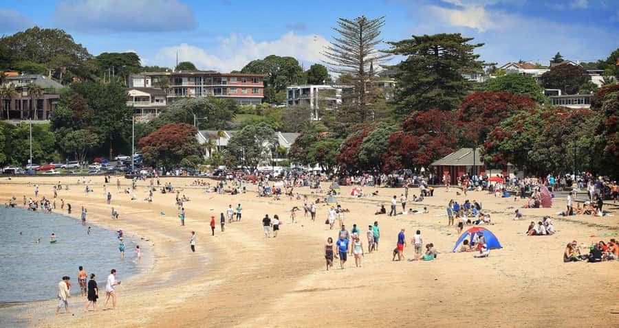 Auckland: Full-Day City Tour - Key points to know before booking