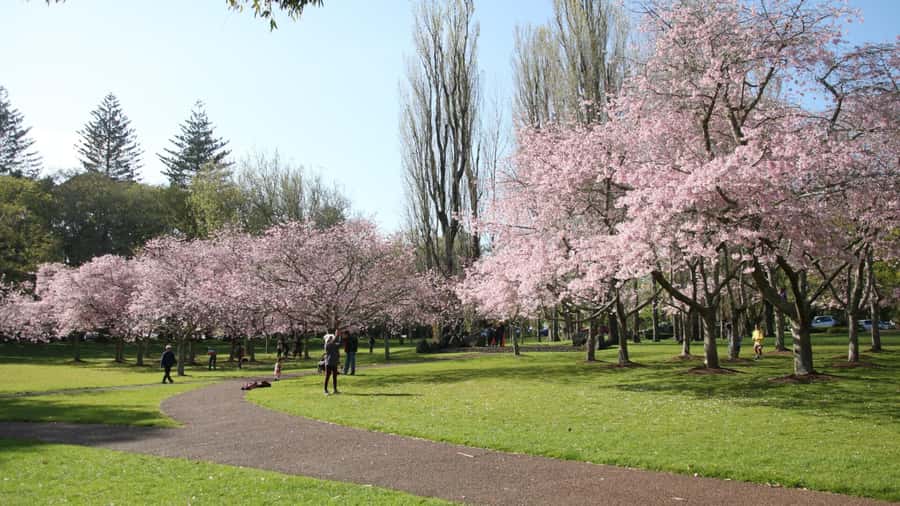 Auckland: Full-Day City Tour - Mt. Eden gives you the first big view