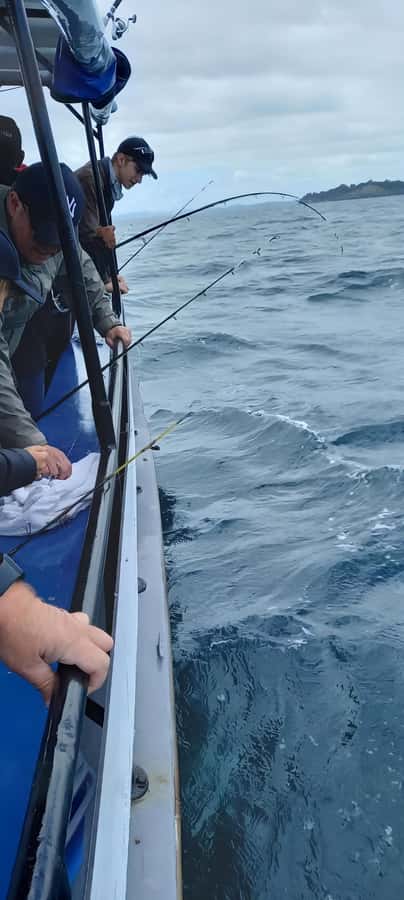 Auckland: Full-Day Fishing Charter (7 am - 4 pm) - A morning of fishing and coastal views