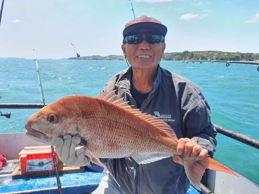 Auckland: Full-Day Fishing Charter (7 am - 4 pm) - The middle of the day, when patience matters