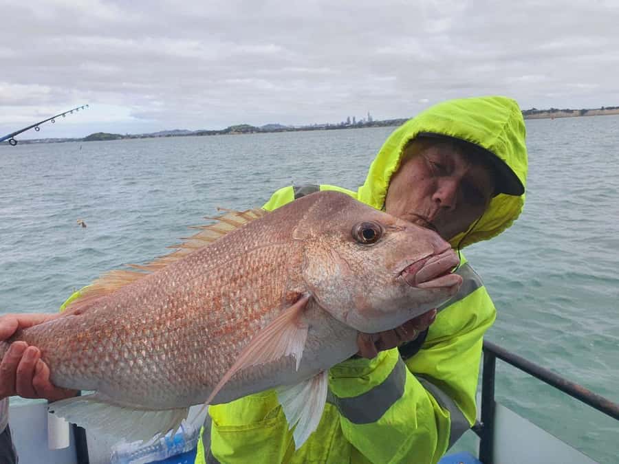 Auckland: Full-Day Fishing Charter (7 am - 4 pm) - Is $45 good value?