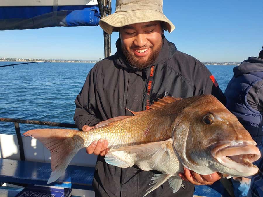 Auckland: Full-Day Fishing Charter (7 am - 4 pm) - Meeting the boat at Westhaven Marina