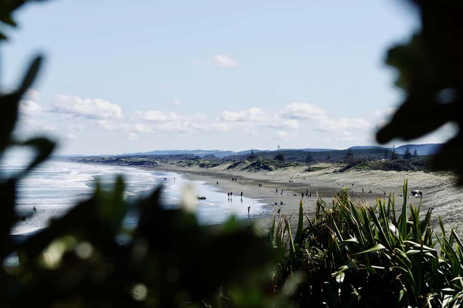 Auckland: Group Surfing Lesson with Muriwai Surf School - Who will get the most from this lesson