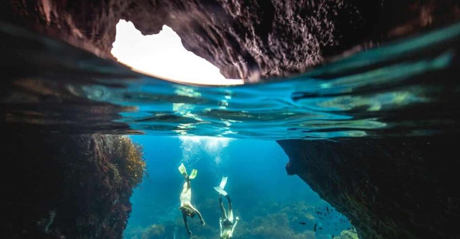 Auckland: Guided Snorkeling and Island Exploration Tours - Key points at a glance