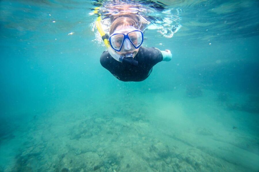 Auckland: Guided Snorkeling and Island Exploration Tours - Getting ready for the water