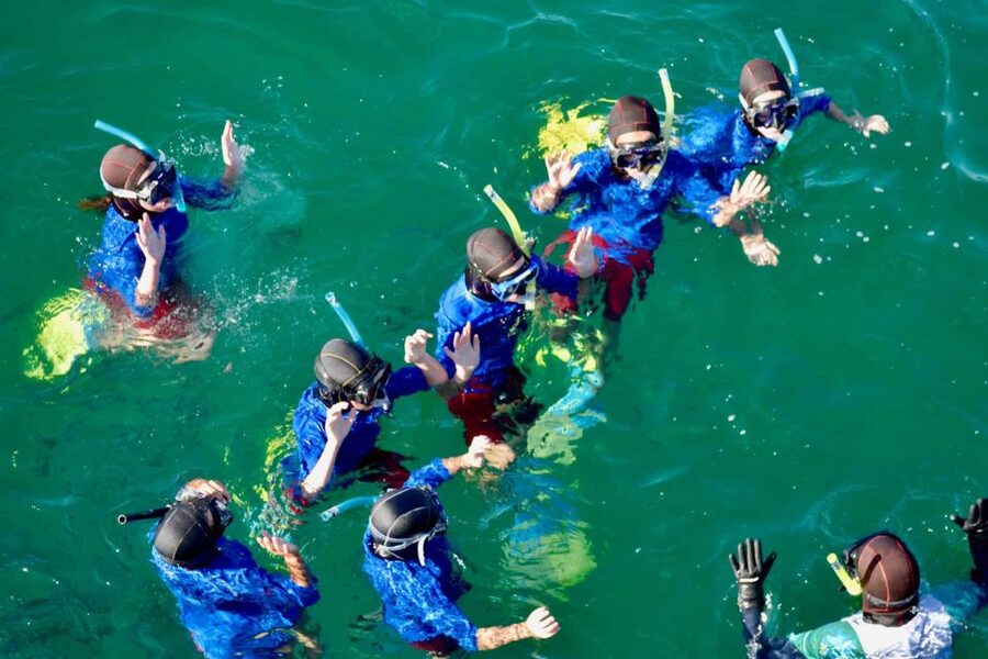 Auckland: Guided Snorkeling and Island Exploration Tours - Snorkeling in the Hauraki Gulf