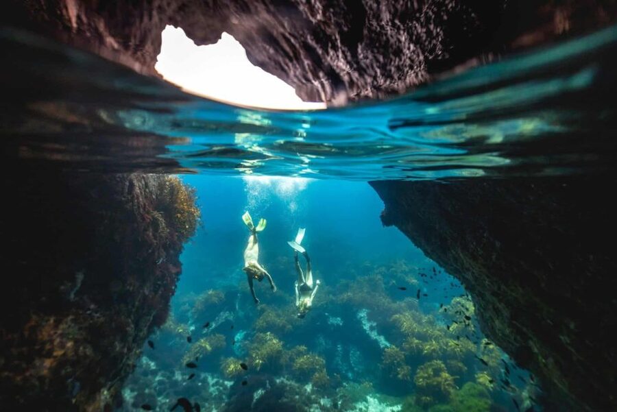 Auckland: Guided Snorkeling and Island Exploration Tours - Meeting your guide at the Tiritiri Matangi wharf