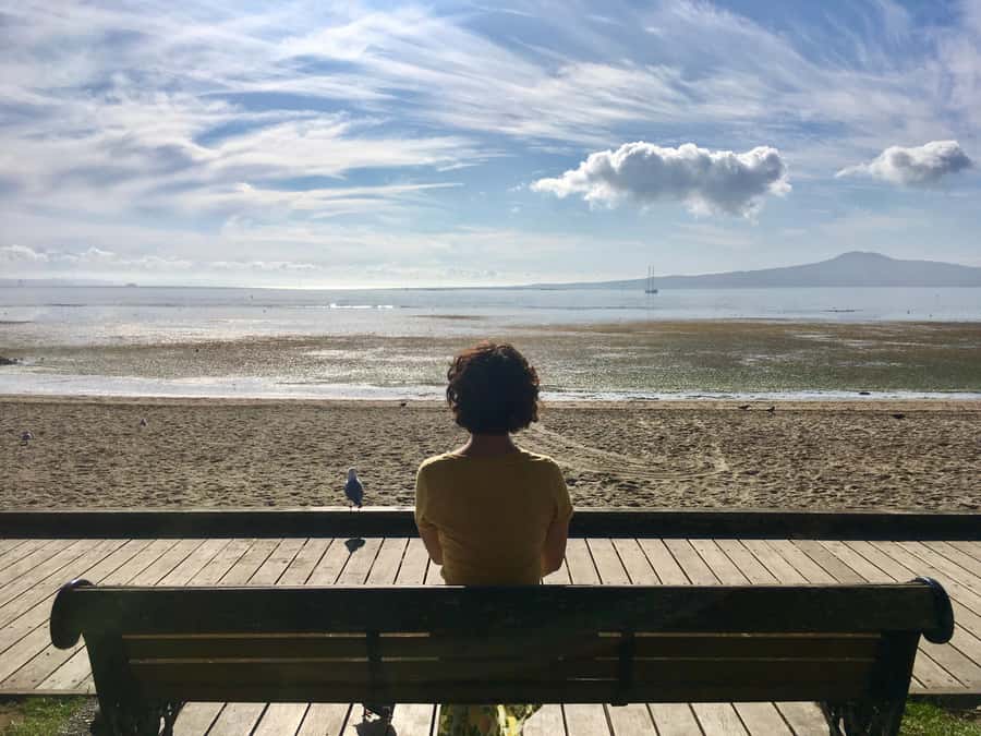Auckland: Half-Day Auckland Volcanoes Tour - Key points at a glance