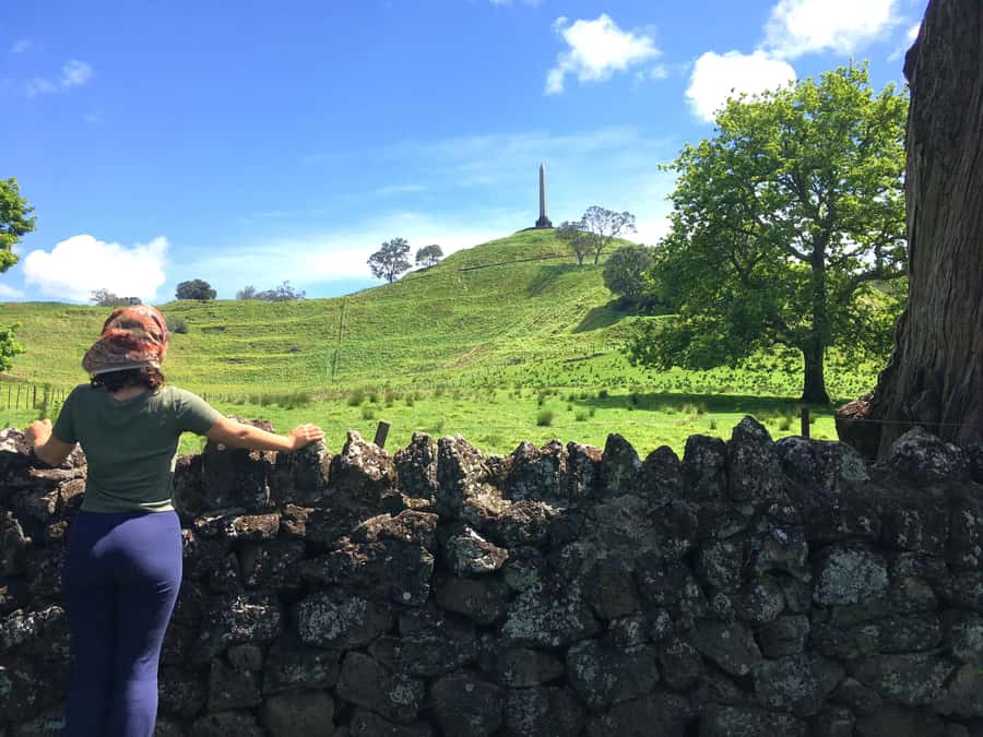 Auckland: Half-Day Auckland Volcanoes Tour - Walking up Maungarei, Mount Wellington