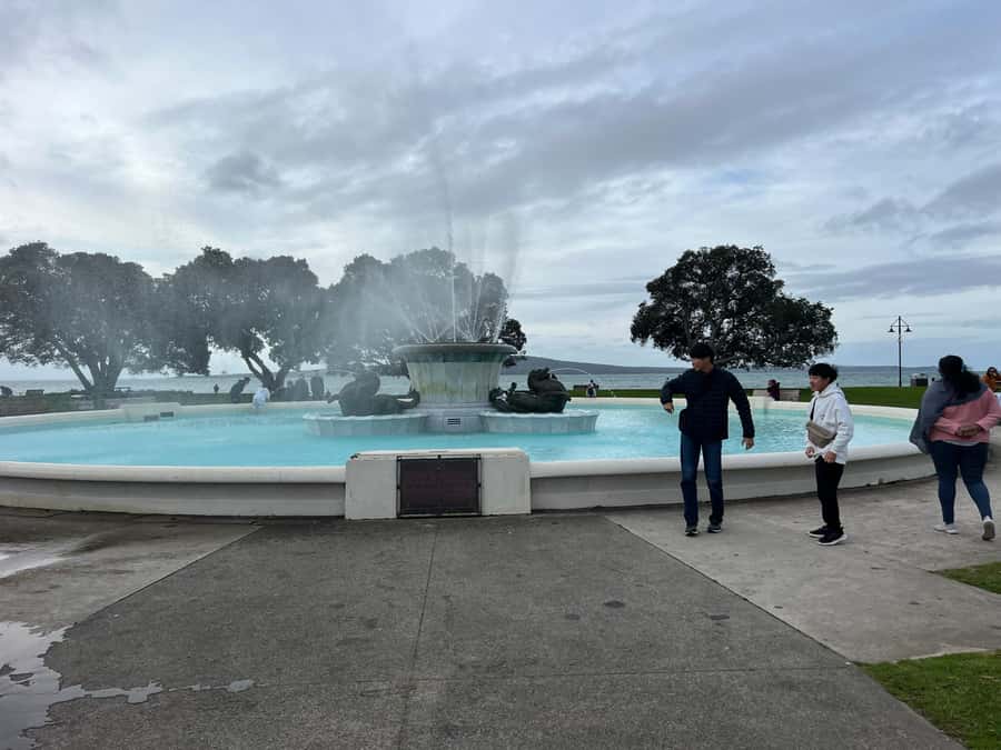 AUCKLAND: Half-Day CITY HIGHLIGHTS TOUR - Mt.Eden, Tamaki Dr - Is $87 a fair price?
