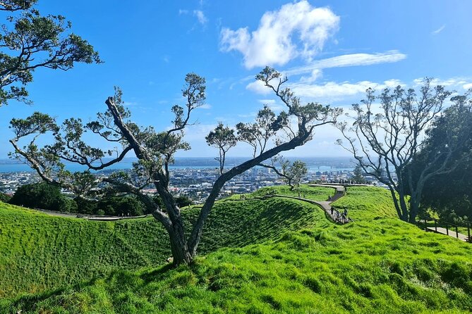 Auckland Half Day City Tour - Heart of Auckland - The guide makes the biggest difference