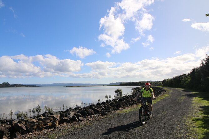 Auckland Half Day E-Bike Excursion - Auckland by e-bike, with the city doing the work