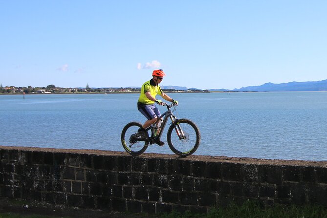 Auckland Half Day E-Bike Excursion - What riding the e-bikes feels like