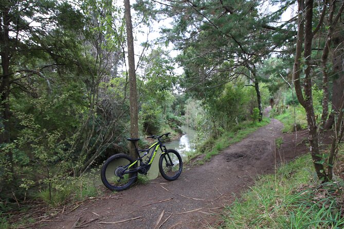 Auckland Half Day E-Bike Excursion - Is $93.09 per person good value?