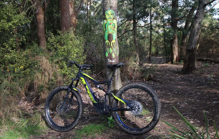 Auckland Half-Day Ebike Tour Excursion - Key points to know before riding