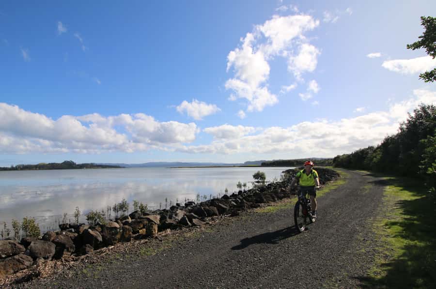Auckland Half-Day Ebike Tour Excursion - Western Springs and the city’s green edge