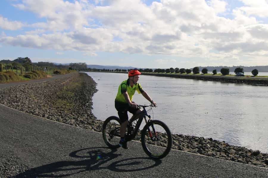 Auckland Half-Day Ebike Tour Excursion - Who should book this Auckland ride?