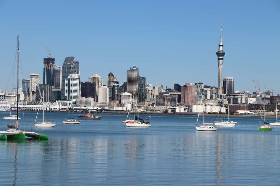 Auckland: Half-Day Scenic Sightseeing Tour - Key points to know before booking
