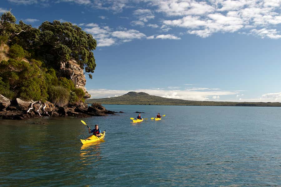 Auckland: Half-Day Sea Kayak Tour to Motukorea Island - Key points to know before booking
