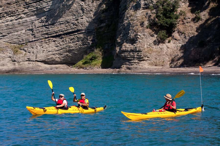 Auckland: Half-Day Sea Kayak Tour to Motukorea Island - Why Motukorea makes a fine Auckland outing