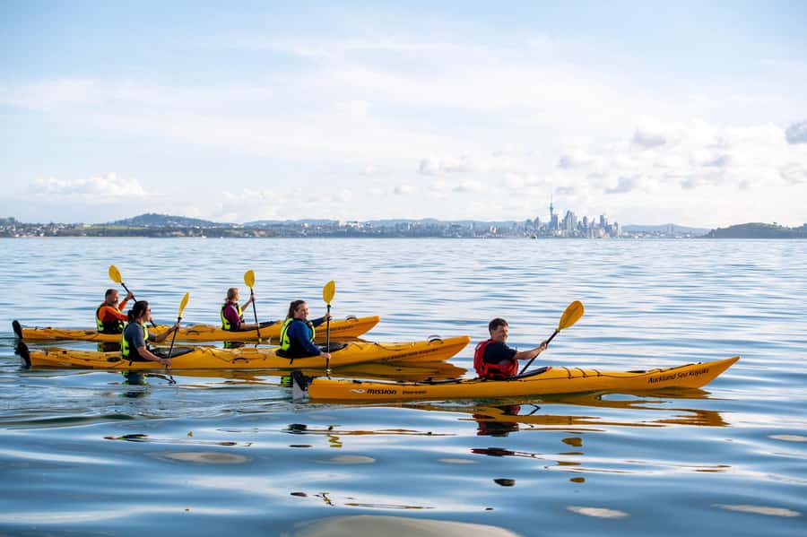 Auckland: Half-Day Sea Kayak Tour to Motukorea Island - Climbing the extinct volcano