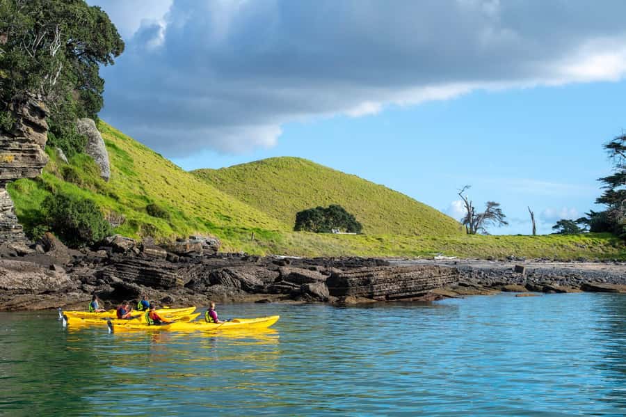 Auckland: Half-Day Sea Kayak Tour to Motukorea Island - Snacks, photos, and time to look around