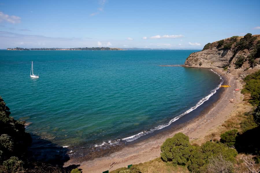 Auckland: Half-Day Sea Kayak Tour to Motukorea Island - Meeting at St Heliers Beach