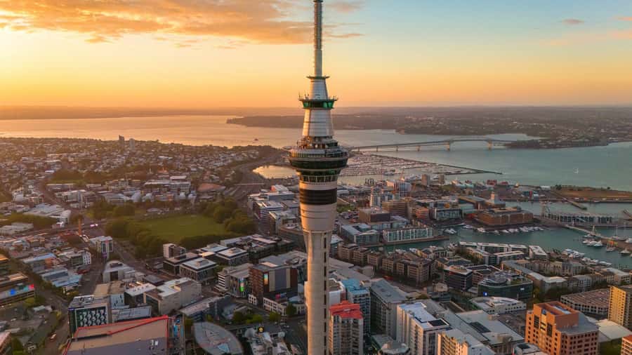 Auckland Half Day Tour Through Urban Wonders - What the guide adds to the day