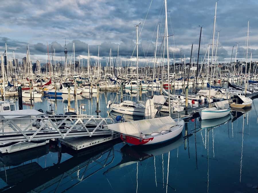Auckland Half Day Tour Through Urban Wonders - Is $100 per person good value?