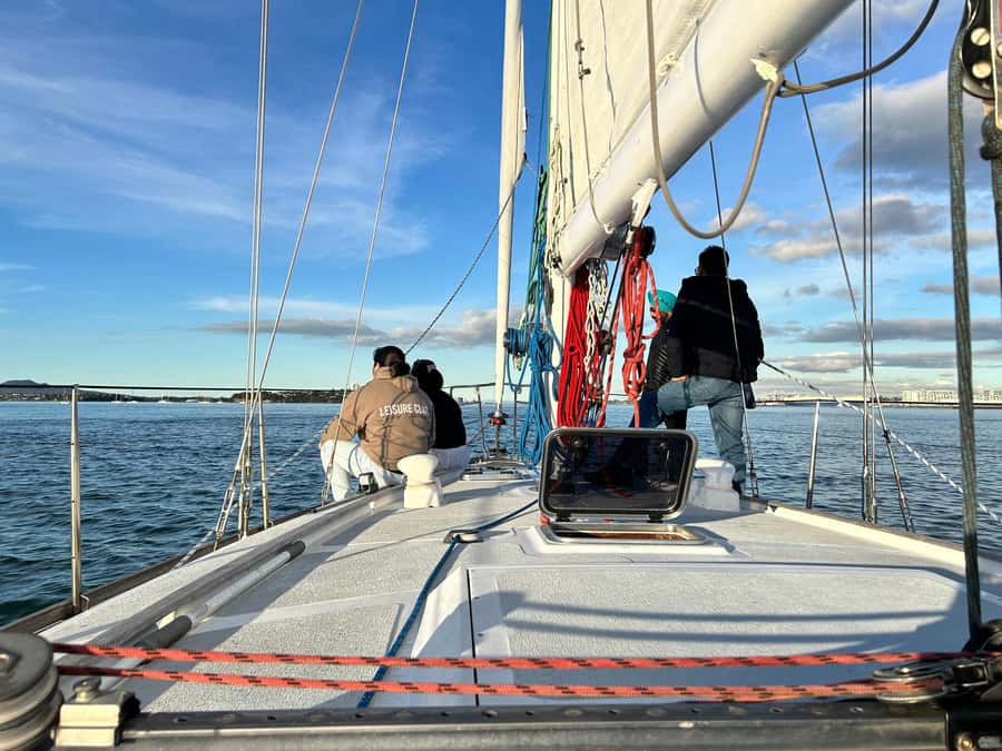 Auckland Harbour 1.5-Hour Sailing Cruise - Westhaven Marina and the wider harbor