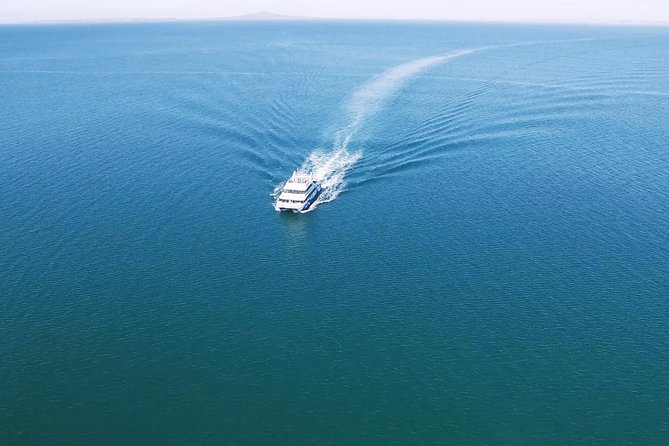 Auckland Harbour Cruise - What this Auckland Harbour Cruise actually feels like