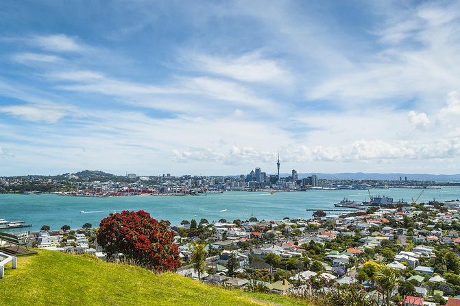 Auckland Harbour Cruise - Commentary, staff, and the level of information