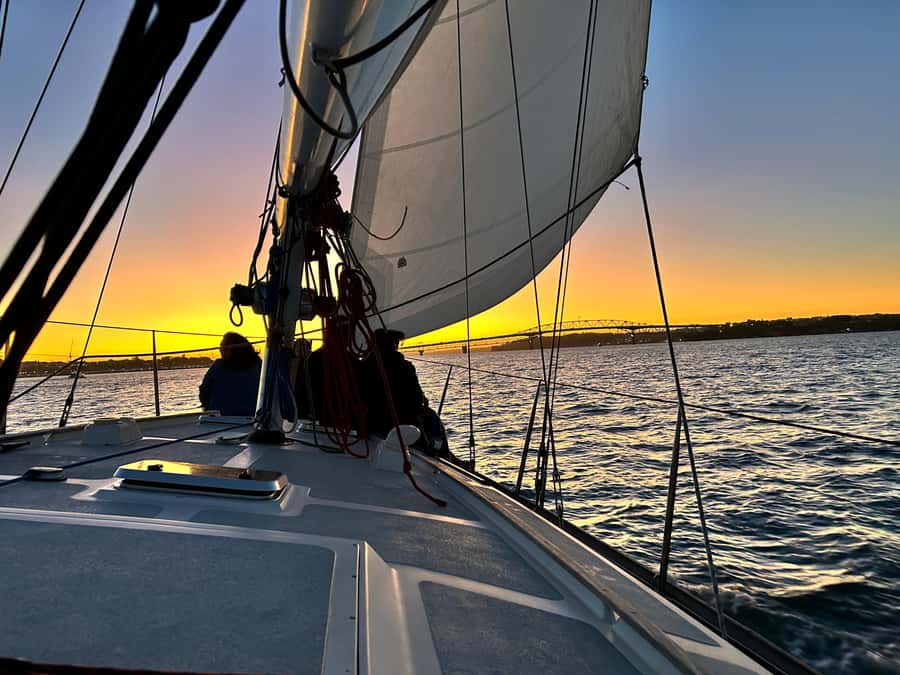 Auckland: Harbour Sailing Cruise with 3-Course Dinner - Meeting the yacht beside Auckland’s Viaduct Harbour