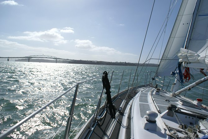 Auckland Harbour Sailing Experience - Morning tea on an open yacht