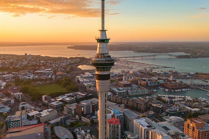 Auckland Highlight Attractions Small Group Tour - Maungawhau: the tour’s main walk